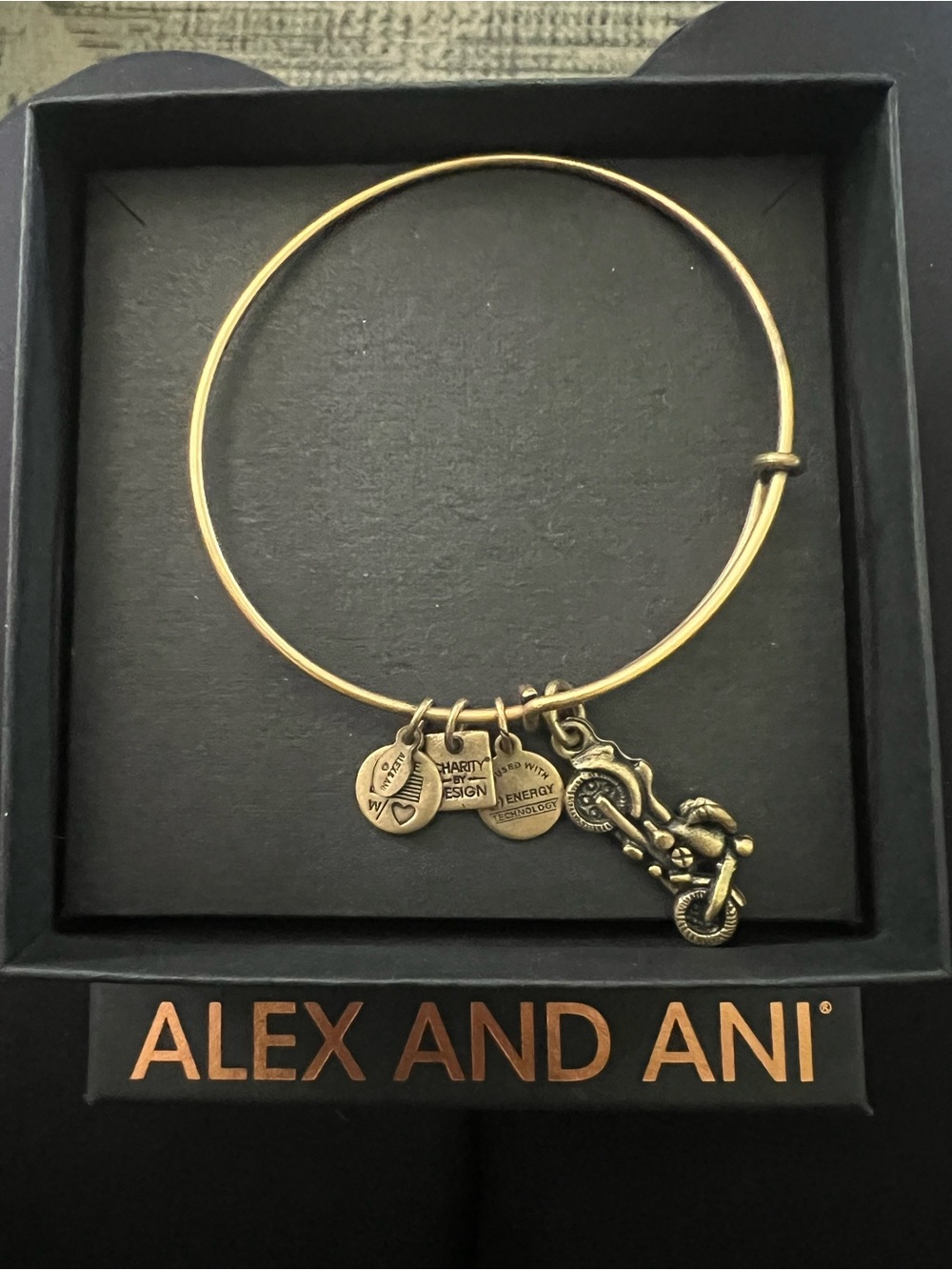 Alex and ani motorcycle braclet